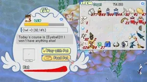 Contoh memberi makan pet